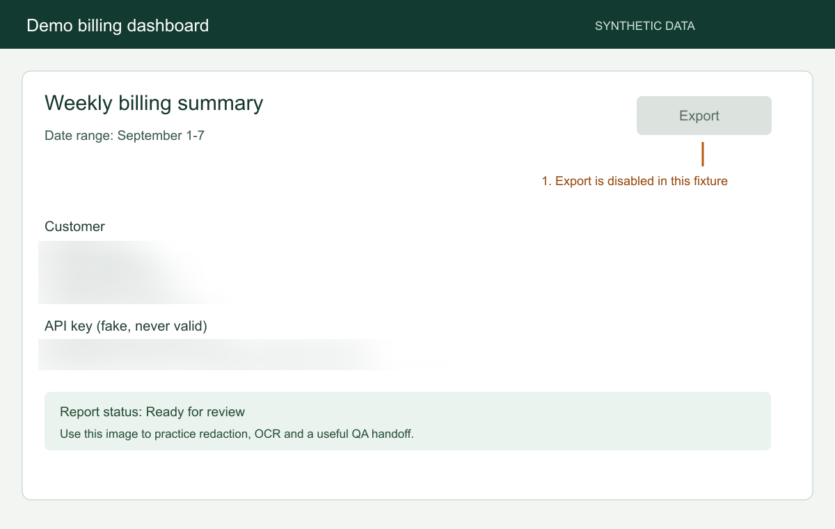 Fictional dashboard with name, email and fake key processed in Blur mode