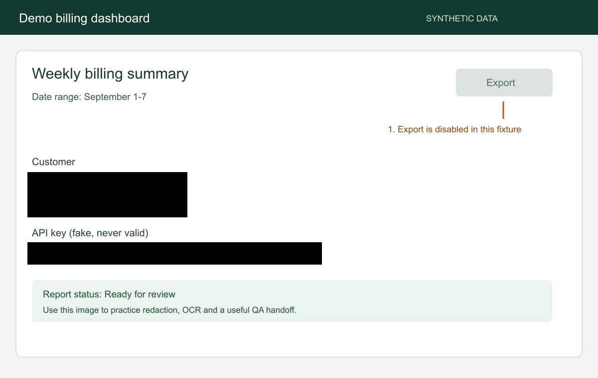 Exported example dashboard with the invented name, email and complete fake API key covered by opaque black pixels